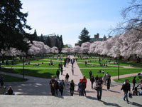 Washington University