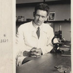 Viktor Hamburger, medico statunitense e stretto collaboratore della Montalcini